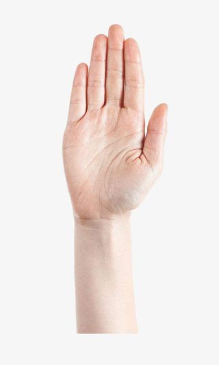 简约风格伸出手掌宣誓发誓起誓手免抠