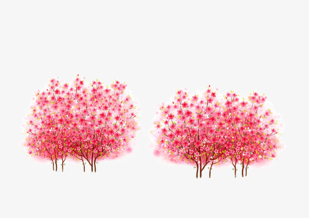 盛开的梅花树免抠