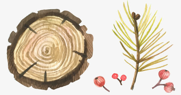 年轮树叶免抠