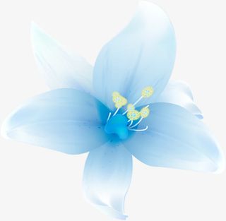 蓝色盛开兰花婚礼免抠