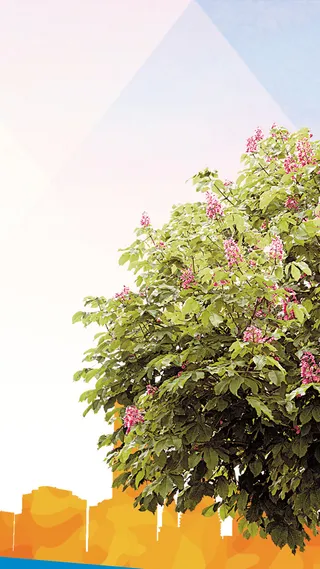 女装H5背景高清