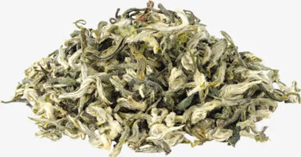 碧螺春茶免抠 碧螺春茶免抠