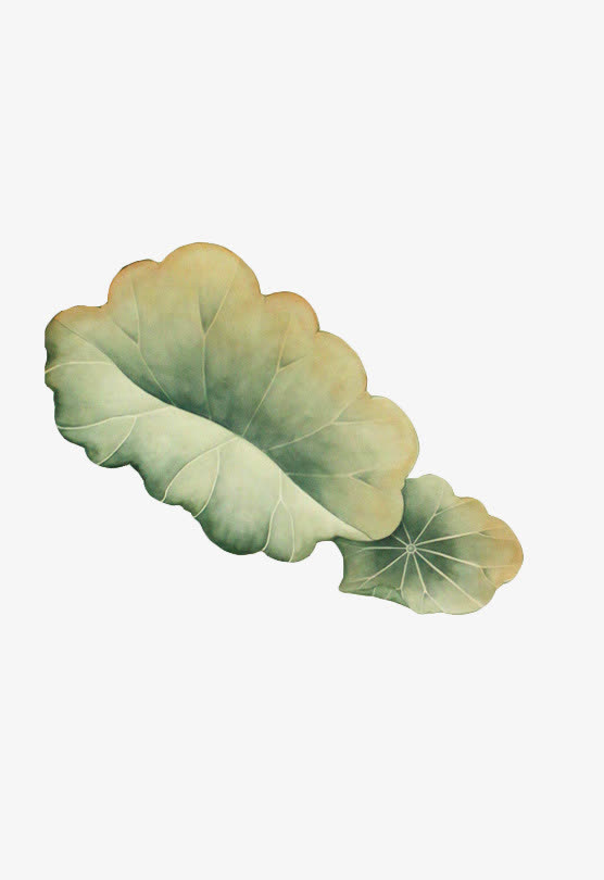 荷叶免抠