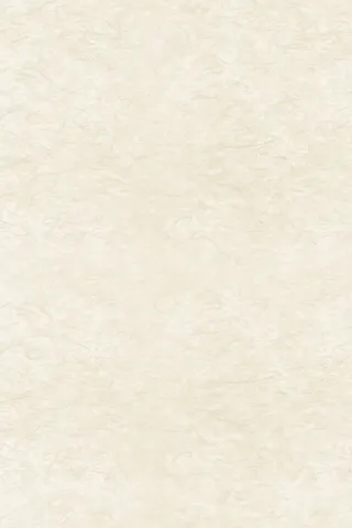 复古文艺浅色花纹中国风背景高清