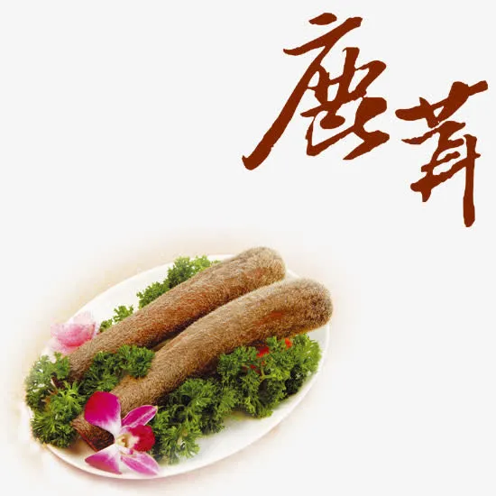 鹿茸免抠
