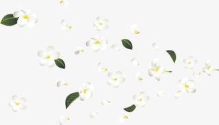 漂浮的小花免抠