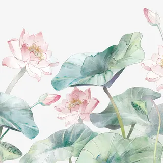 荷花手绘彩色免抠