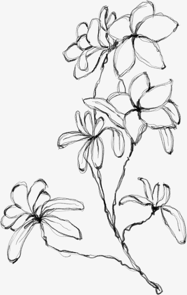 水墨花朵元素63免抠动植物植物元素