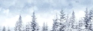 雪背景
