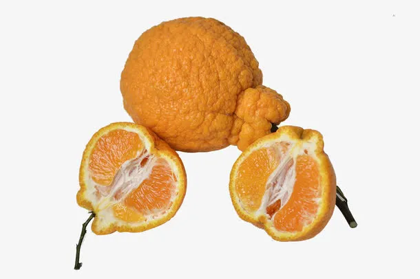 不知火摄影免抠