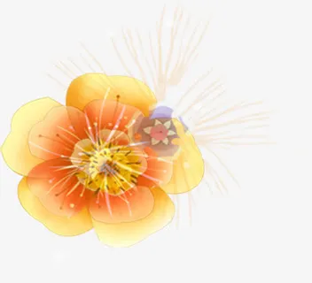 春天清新手绘黄色花朵免抠