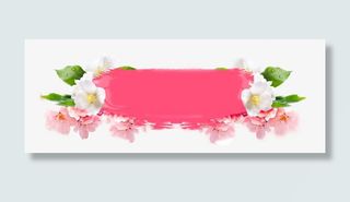 花朵装饰边框免抠