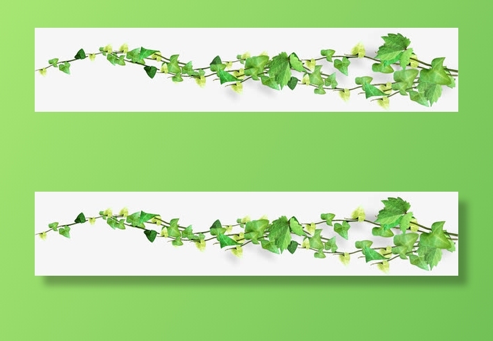 春天绿叶藤蔓植物清新装饰免抠