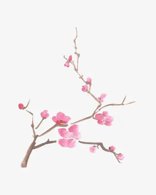 水墨枝条免抠
