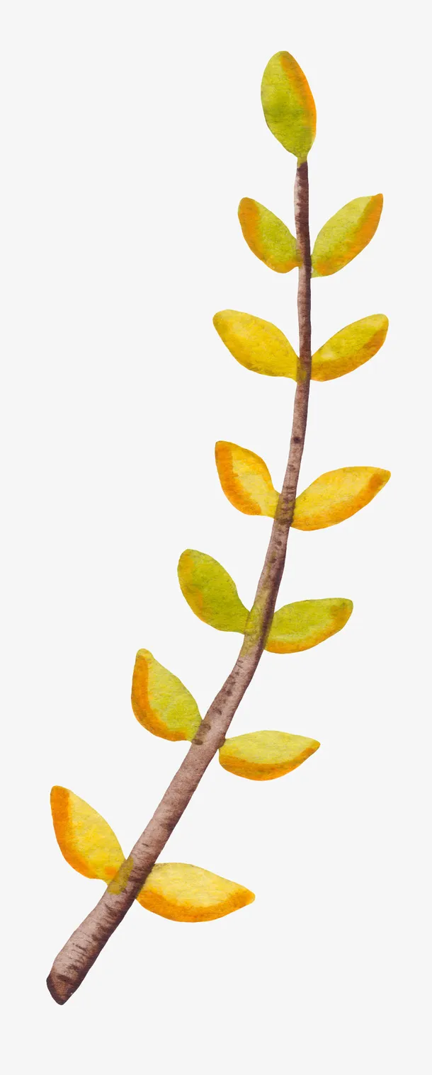 可爱小清新装饰海报装饰树枝免抠