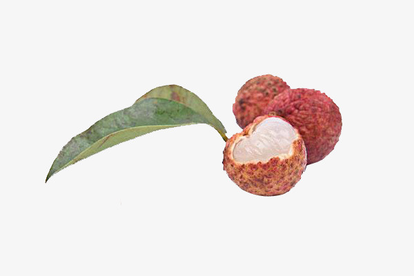 荔枝肉含葡萄糖 蔗糖 蛋白质免抠