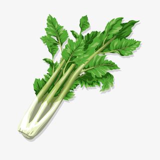 大大大叶子免抠