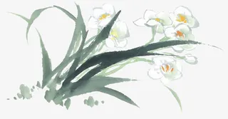 花朵植物水墨画画作免抠