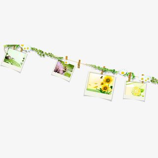 春天的相册免抠装饰生活用品元素