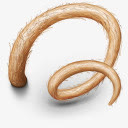 猪年代尾巴harry-potter-icons免抠