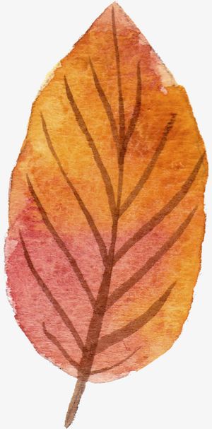 一片橘黄色的叶子免抠