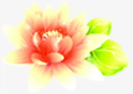 花开富贵红花绿叶开业图片免抠