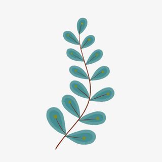 免抠的小树枝免抠