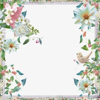 小清新边框素材免抠