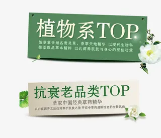 美容化妆品文字标签免抠