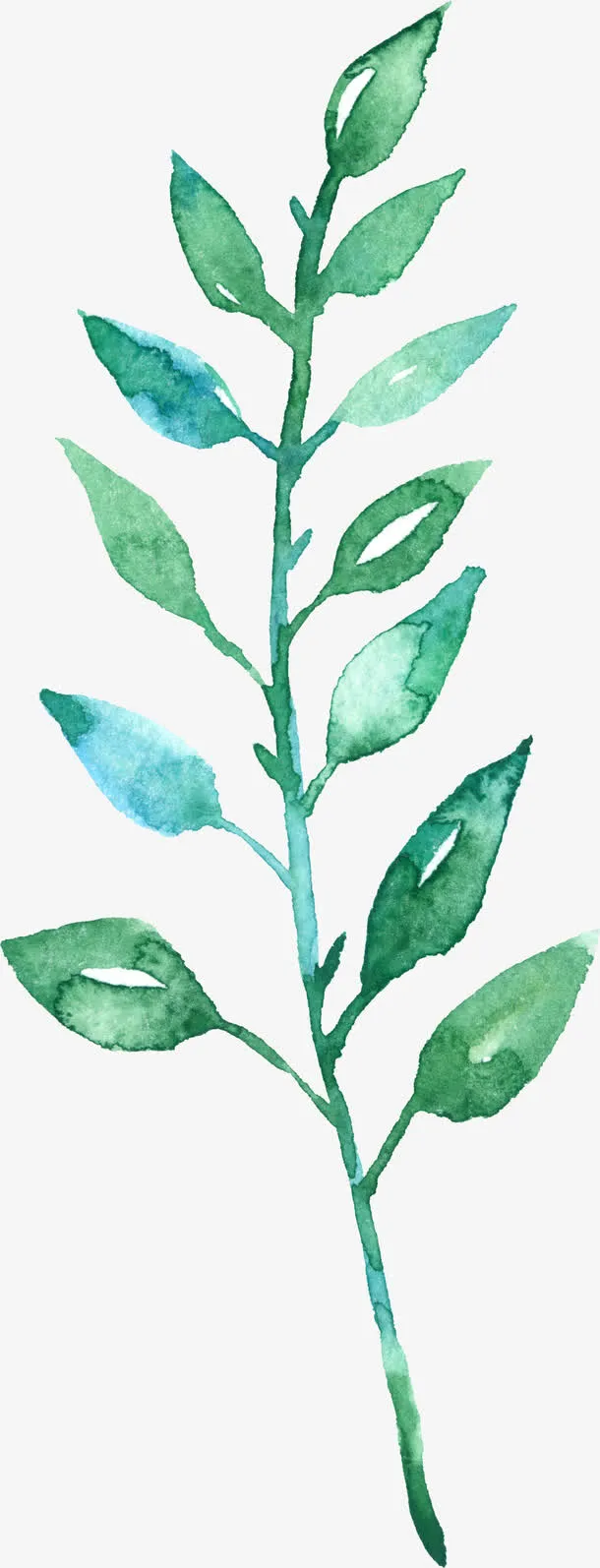 绿色水彩画草|树叶2免抠