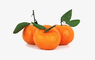 砂糖橘图片免抠