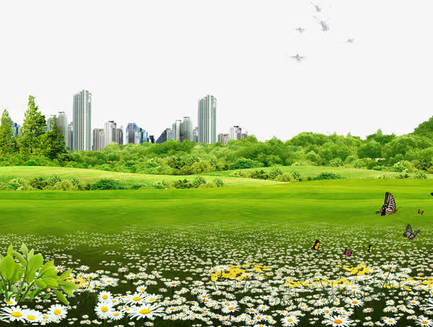 城市绿色草地免抠