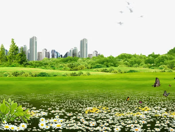 城市绿色草地免抠