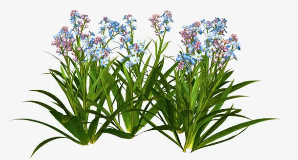 花草ps素材矢量花草素材免抠