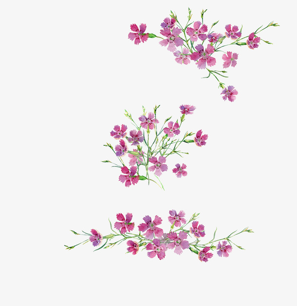 水彩野花底纹免抠