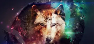 动物狼背景高清