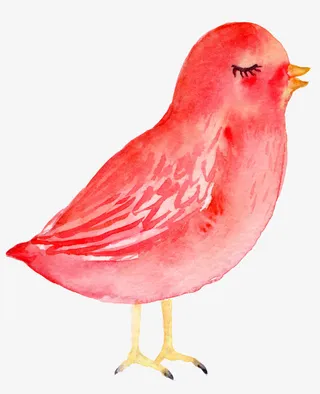 闭着眼睛的小鸡免抠