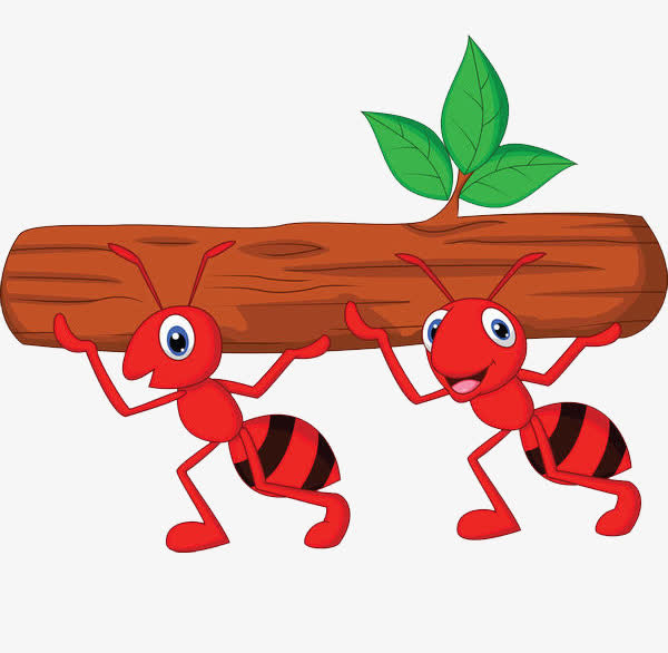 蚂蚁搬运树枝免抠