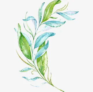 蓝绿色的叶子免抠