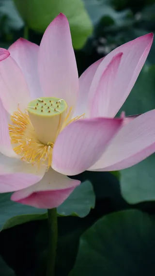 唯美摄影H5背景高清