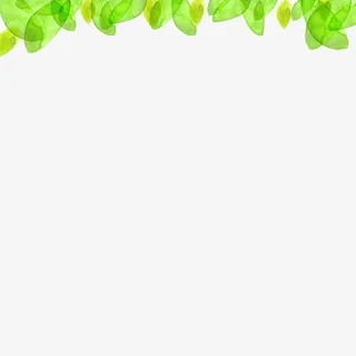 绿叶边框免抠