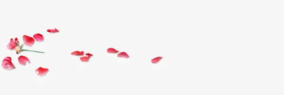 红色玫瑰花瓣小装饰免抠