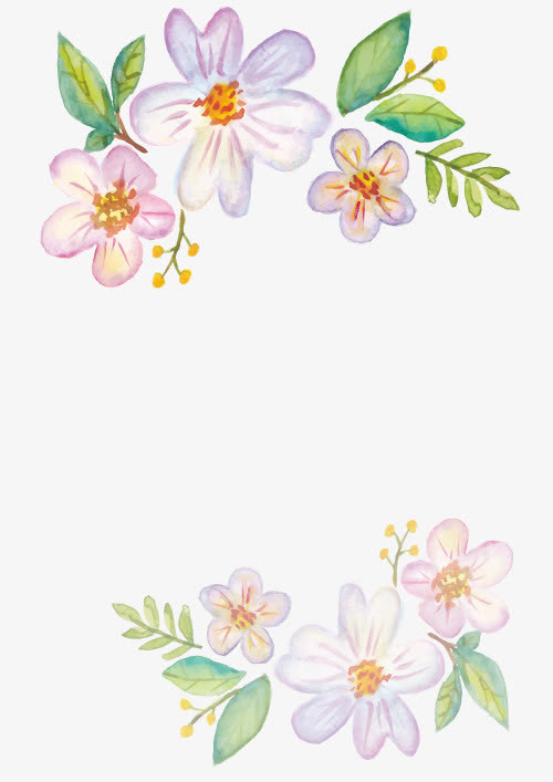 矢量花卉边框免抠