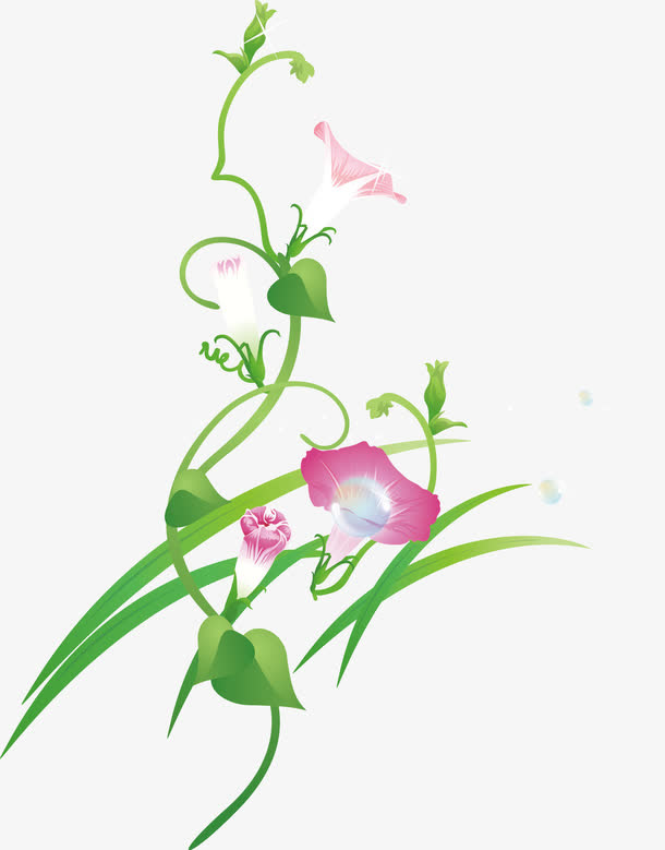 牵牛花矢量免抠