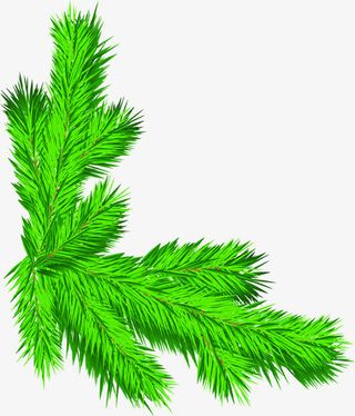 绿色叶子贺圣诞迎元旦背景