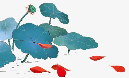 荷花池一个小莲蓬免抠