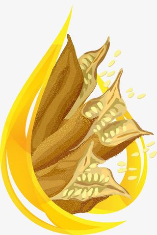 植物油原料免抠