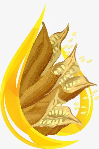 植物油原料免抠