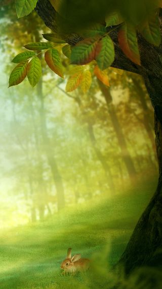 树林H5背景高清