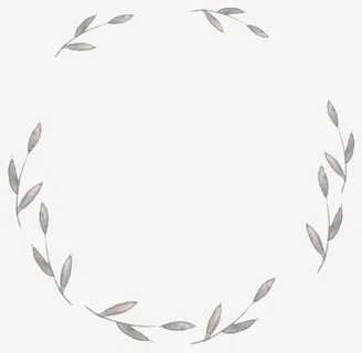 柳叶枝头边框免抠